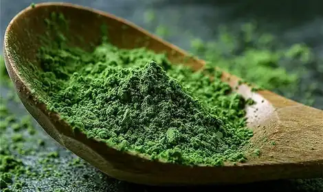 The Antioxidant Power of Barley Grass Powder: Fighting Free Radicals Effectively